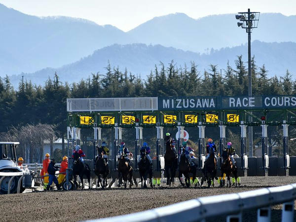 第2レース（1300m）のスタート
