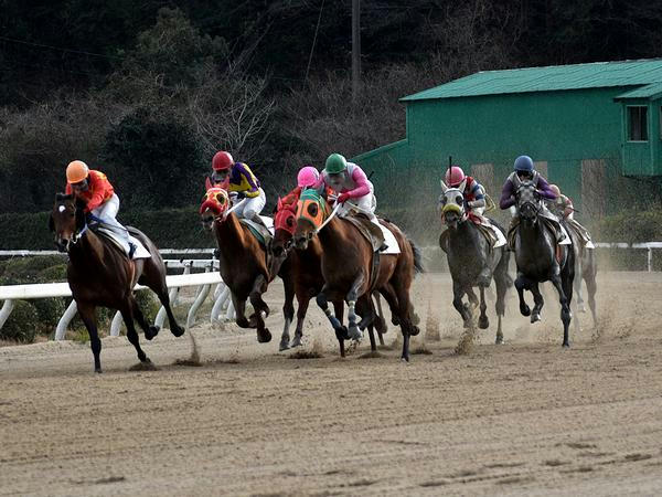 競馬 佐賀