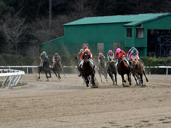 第10レースの最終コーナーを回る競走馬