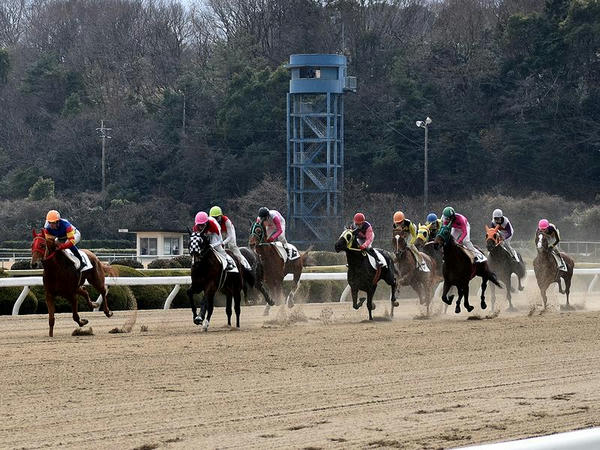 レース中の様子