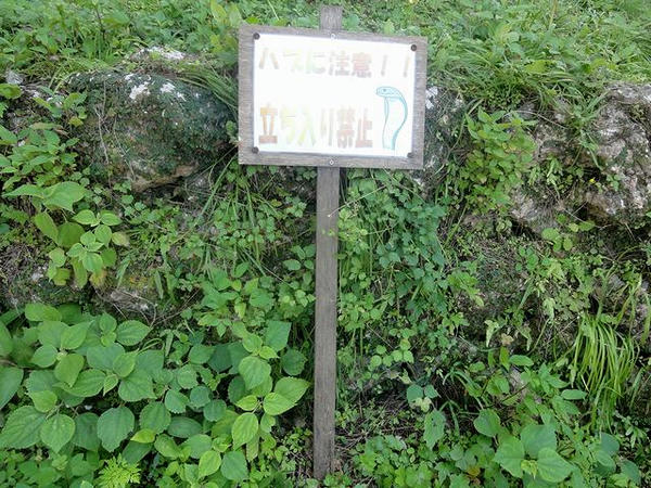 「ハブに注意！！」の看板