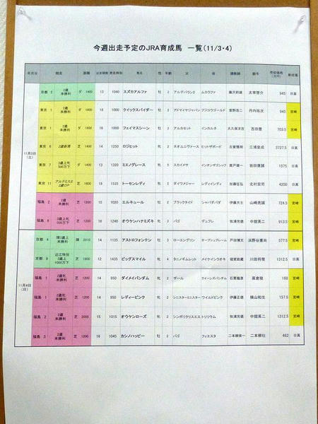 今週出走予定のJRA育成馬