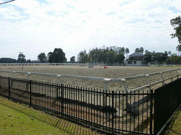 角馬場
