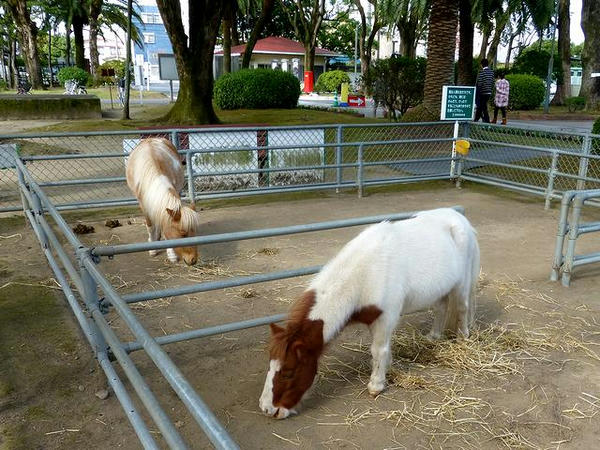 プリンさん（（奥）とチャーリーさん手前）
