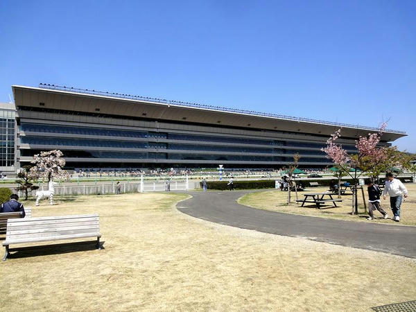 馬場内広場から見たスタンド
