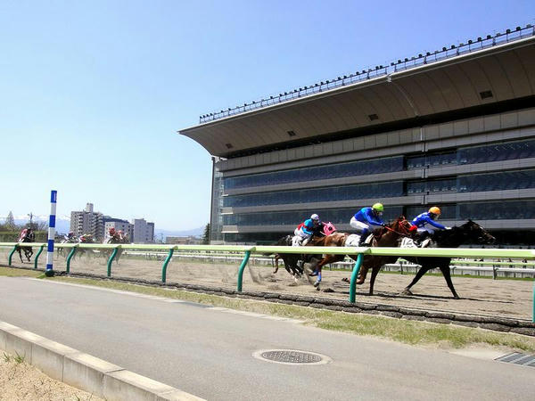 ダートコースを走る競走馬