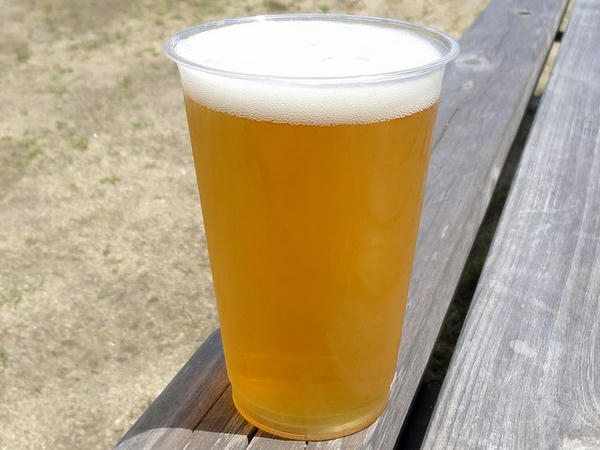 生ビール（ピルスナー） 500円