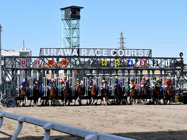 競馬 浦和