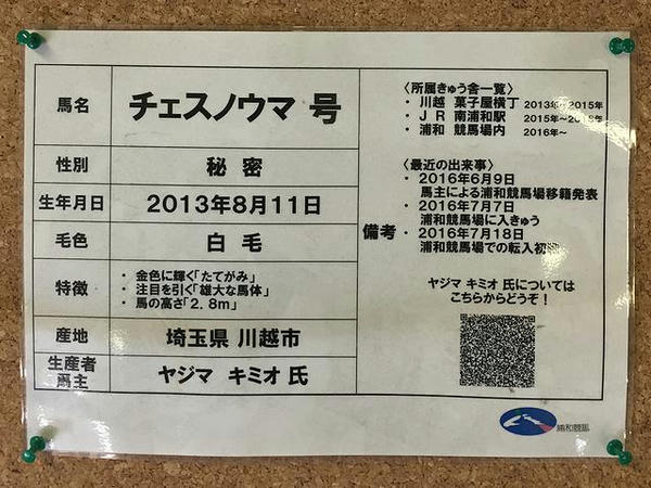 チェスノウマ号来歴