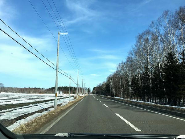 残雪の畑と白樺の中を