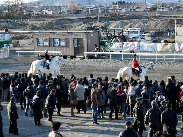 パドック入りする誘導馬