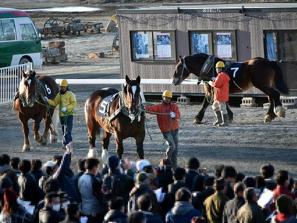 パドックを周回するフクドリ号、キタノタイショウ号、ホクショウユウキ号