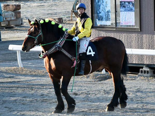 このレース限りで引退する浅田達矢騎手を背に周回するカイシンゲキ号