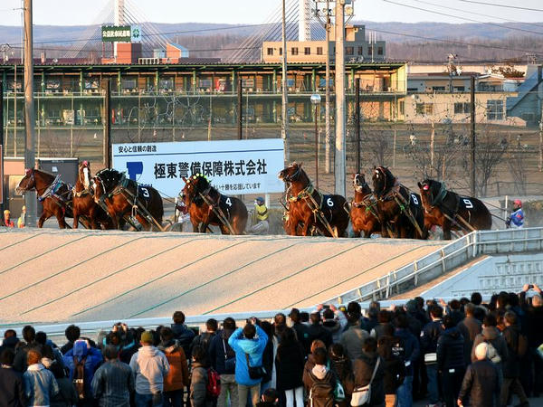 各馬の挑戦！
