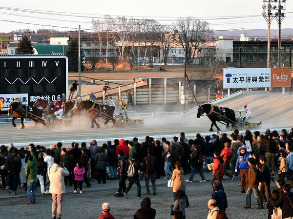 坂を下りて先行勢を追うオレノココロ号