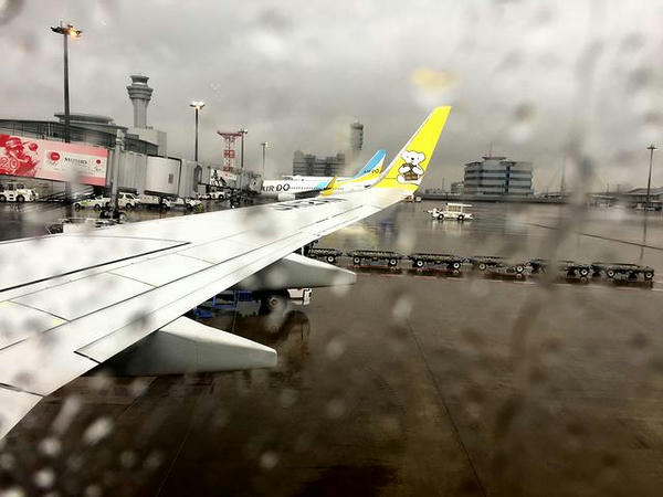 雨の羽田空港に到着