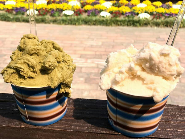 牛の牧草 300円（左側） と 天鷹の酒粕 300円（右側）