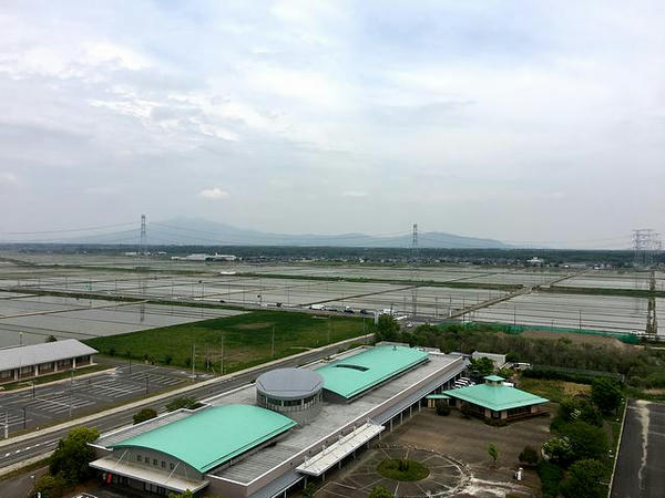 展望台からの風景