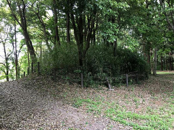 虎口脇の土塁？