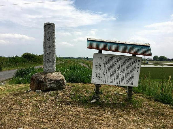 遺構の全く無い豊田城跡