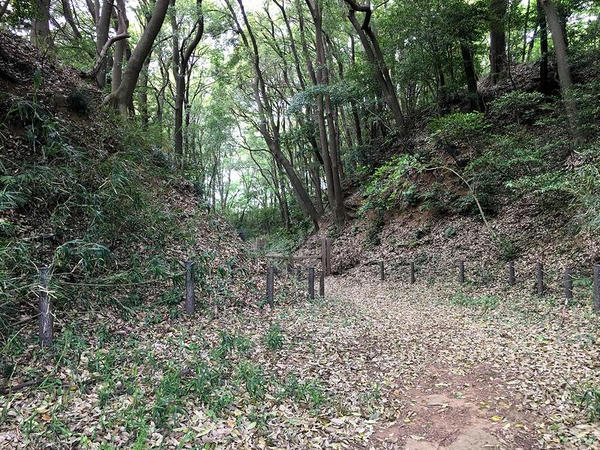 守谷城の堀切
