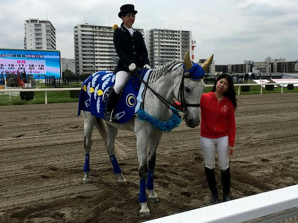 誘導馬のお出迎え