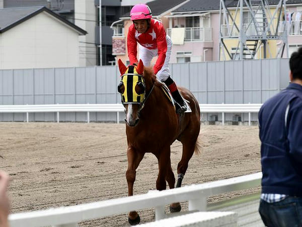 馬場入り