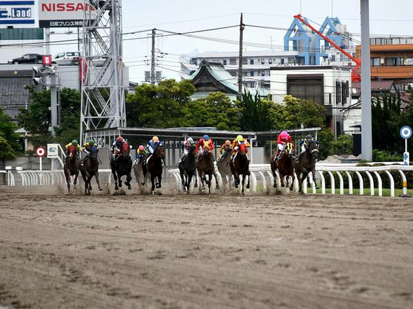 最終コーナーを立ち上がったところ（脚色悪いか？）