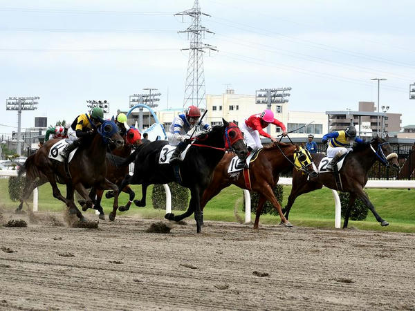 最後の直線の攻防（何とか頑張れ！）