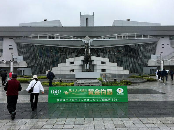 入場口付近から見たメインスタンドと馬像