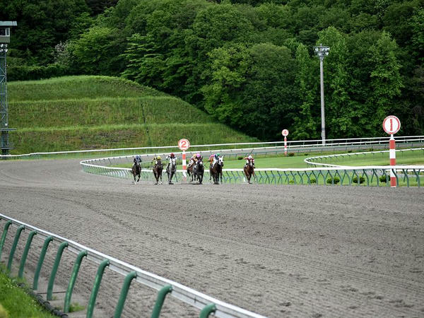 第4レース最後の直線に入ったところ
