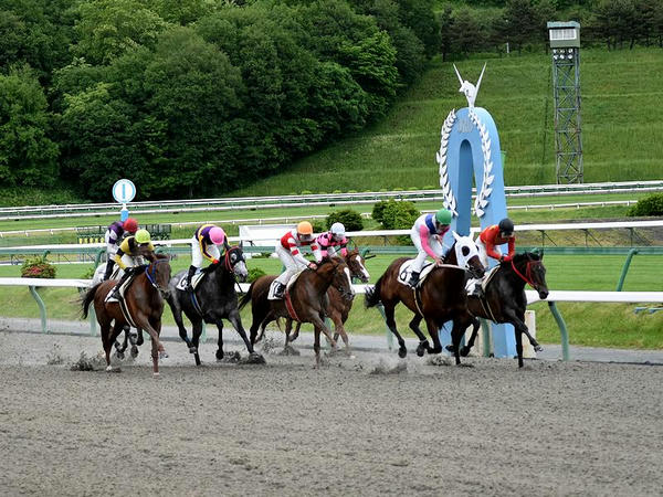 第4レースのゴール