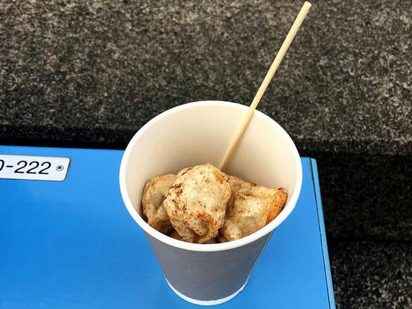 一口健太餃子（揚げ餃子） 300円