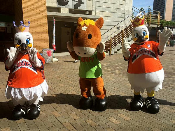 お出迎えするスワンちゃん、ターフィー、アルビくん