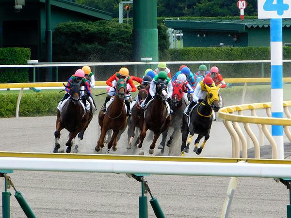 第2レースの最終コーナー