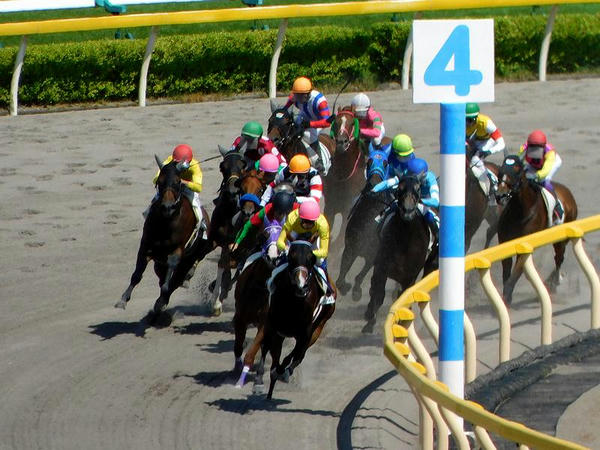 コパノビジン号を先頭に最終コーナーを回る各馬