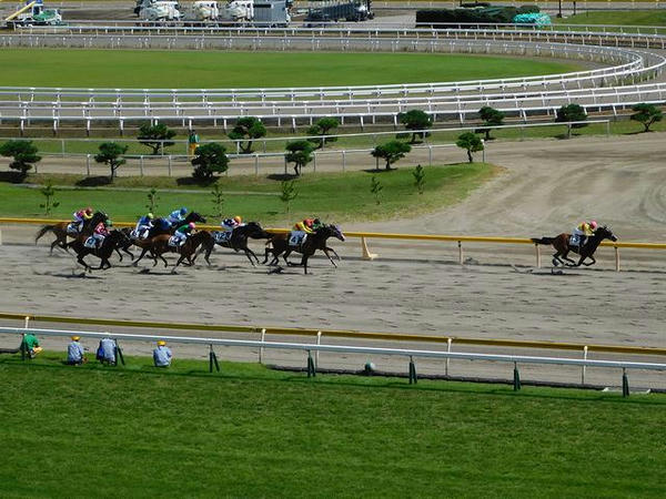直線で後続を突き放すコパノビジン号
