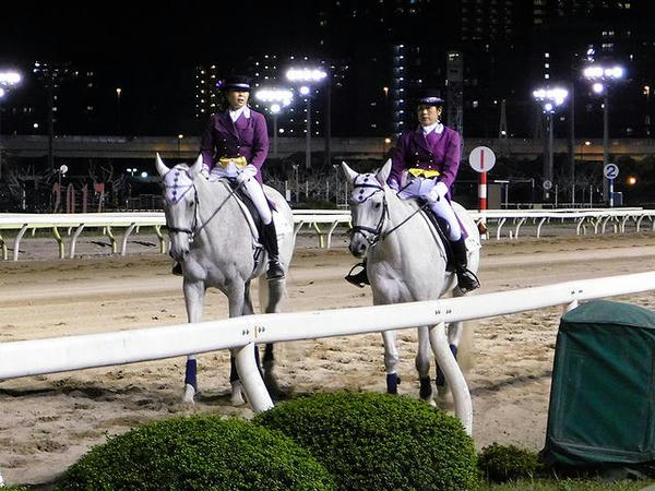 トゥインクルな誘導馬