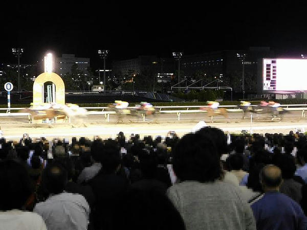 第51回東京盃のゴール