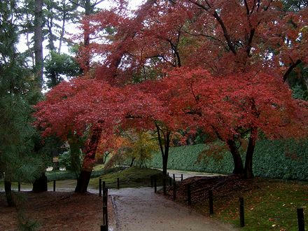 園内の紅葉