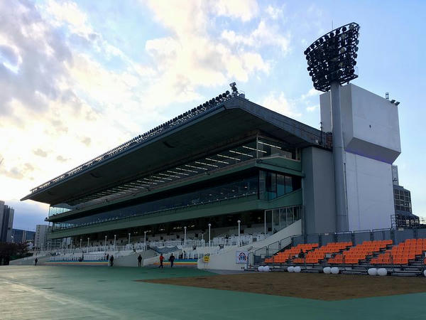 コース側から見た4号スタンド