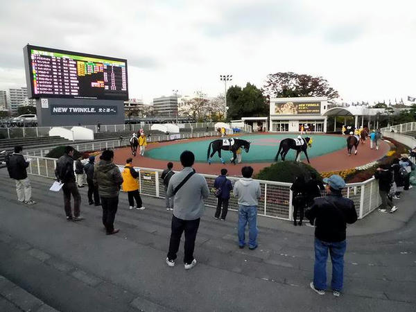  第3レースのパドック