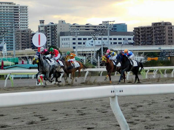 第3レースの最後の直線