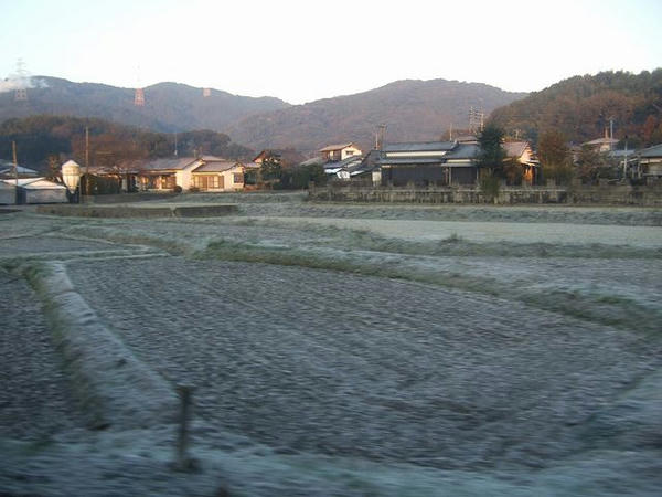 霜げている車窓風景