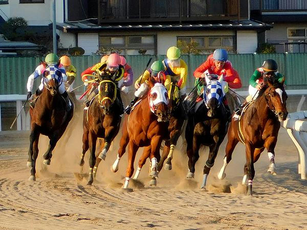 第10レースの最終コーナー