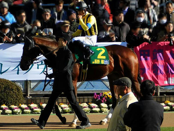 パドックを周回する荻野極騎手とフリージングレイン号