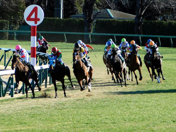 最終コーナーを回る各馬