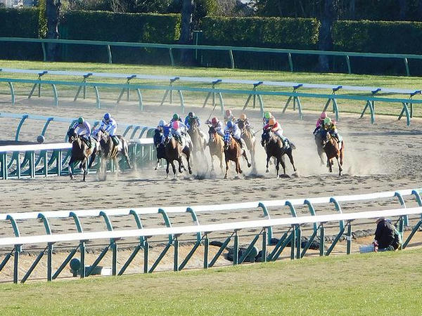 最終コーナー立ち上がり