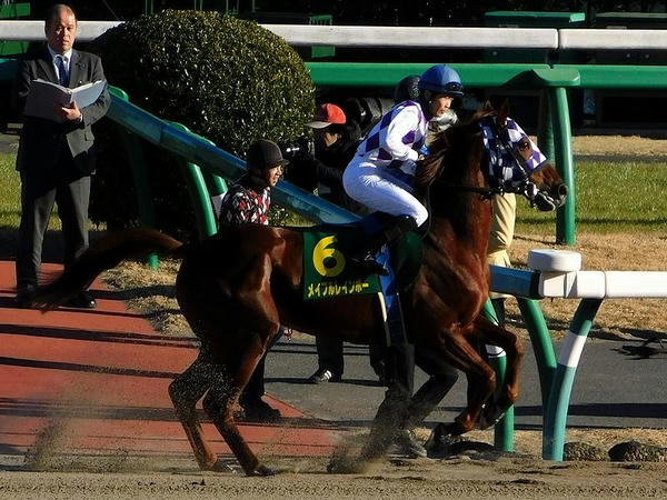 馬場入りする森裕太郎騎手とメイプルレインボー号