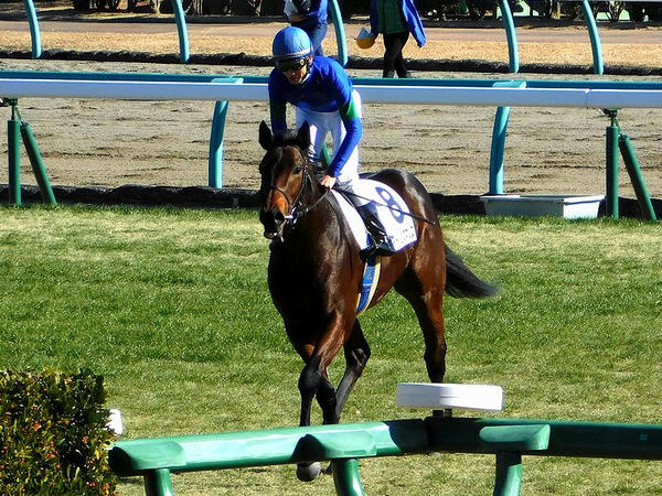 引き上げてきた平野騎手